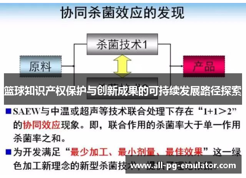 篮球知识产权保护与创新成果的可持续发展路径探索 篮球知识产权保护与创新成果的可持续发展路径探索