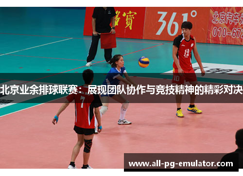 北京业余排球联赛：展现团队协作与竞技精神的精彩对决