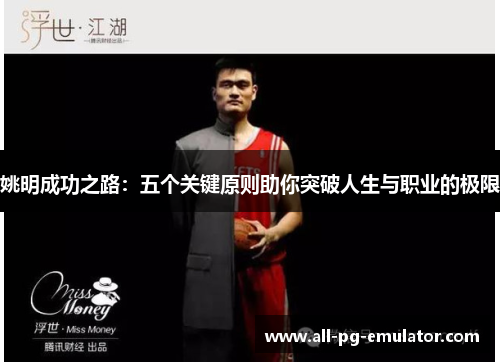姚明成功之路:五个关键原则助你突破人生与职业的极限 姚明成功之路:五个关键原则助你突破人生与职业的极限