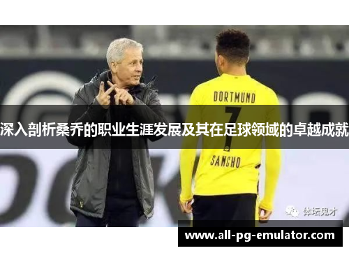 深入剖析桑乔的职业生涯发展及其在足球领域的卓越成就 深入剖析桑乔的职业生涯发展及其在足球领域的卓越成就