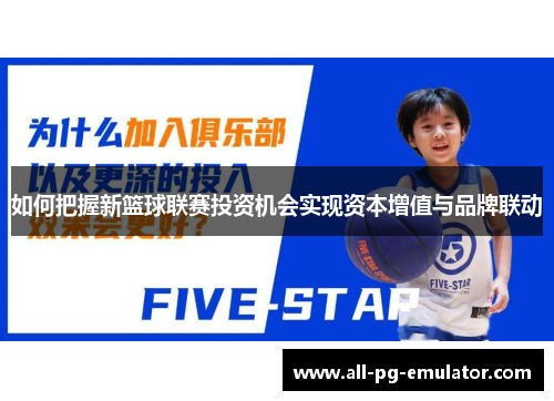 如何把握新篮球联赛投资机会实现资本增值与品牌联动