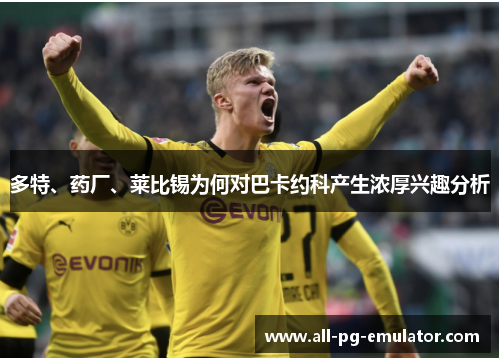 多特、药厂、莱比锡为何对巴卡约科产生浓厚兴趣分析 多特、药厂、莱比锡为何对巴卡约科产生浓厚兴趣分析