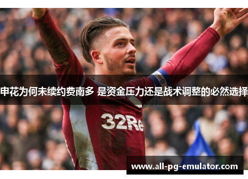 申花为何未续约费南多 是资金压力还是战术调整的必然选择 申花为何未续约费南多 是资金压力还是战术调整的必然选择