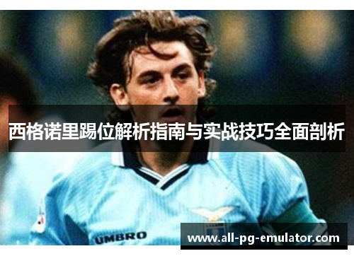 西格诺里踢位解析指南与实战技巧全面剖析 西格诺里踢位解析指南与实战技巧全面剖析