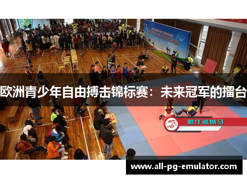 欧洲青少年自由搏击锦标赛：未来冠军的擂台