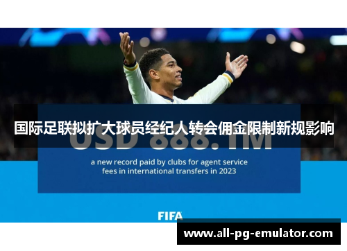 国际足联拟扩大球员经纪人转会佣金限制新规影响 国际足联拟扩大球员经纪人转会佣金限制新规影响