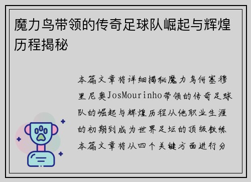 魔力鸟带领的传奇足球队崛起与辉煌历程揭秘