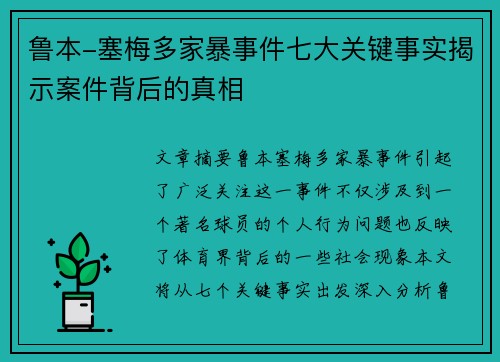 鲁本-塞梅多家暴事件七大关键事实揭示案件背后的真相